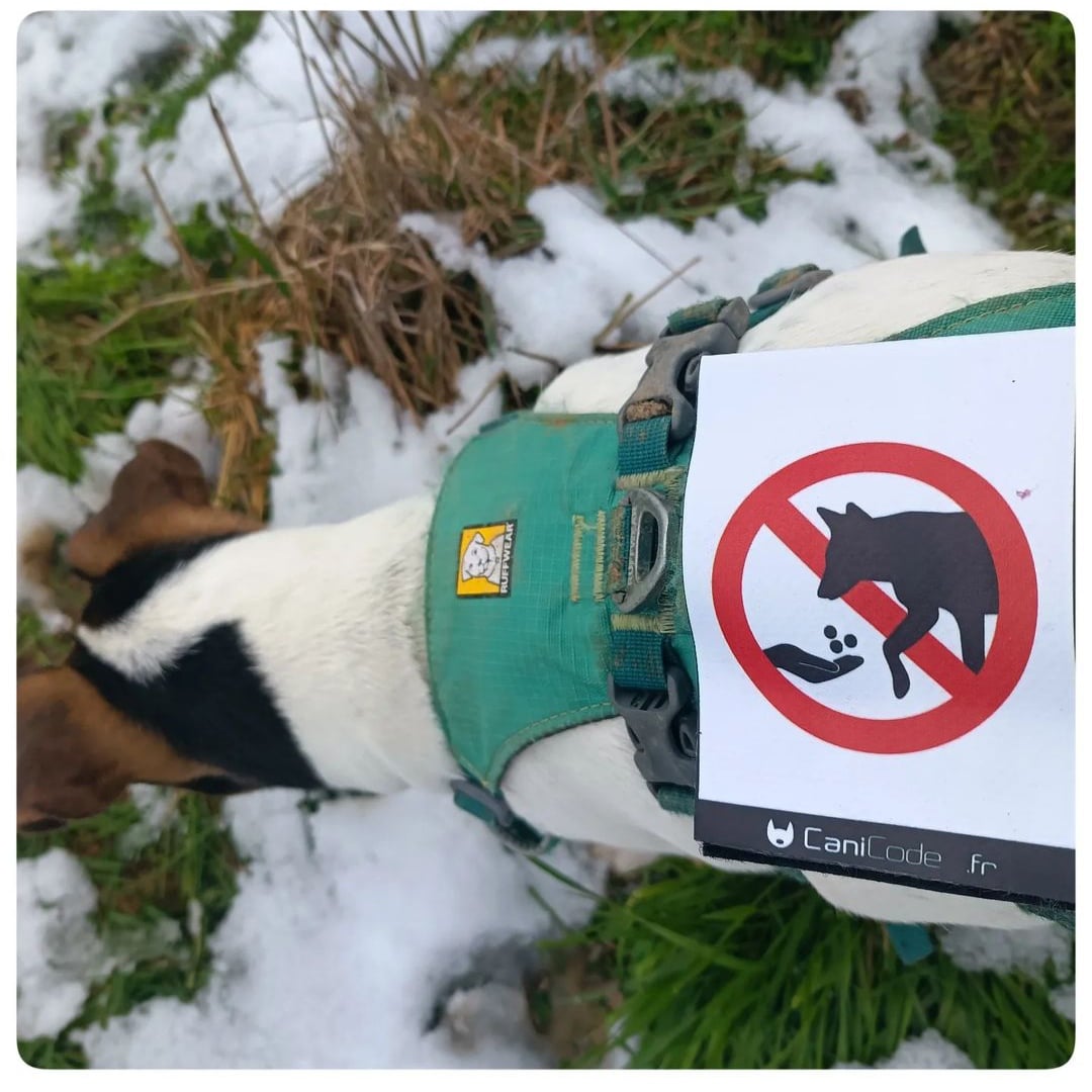 IMG_20230922_073726 - Copie