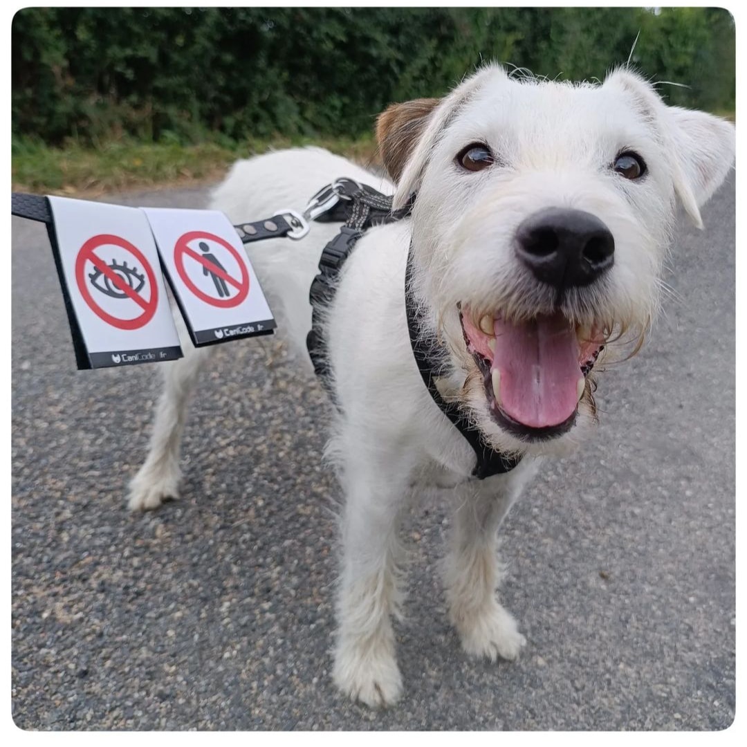 IMG_20230922_073952 - Copie