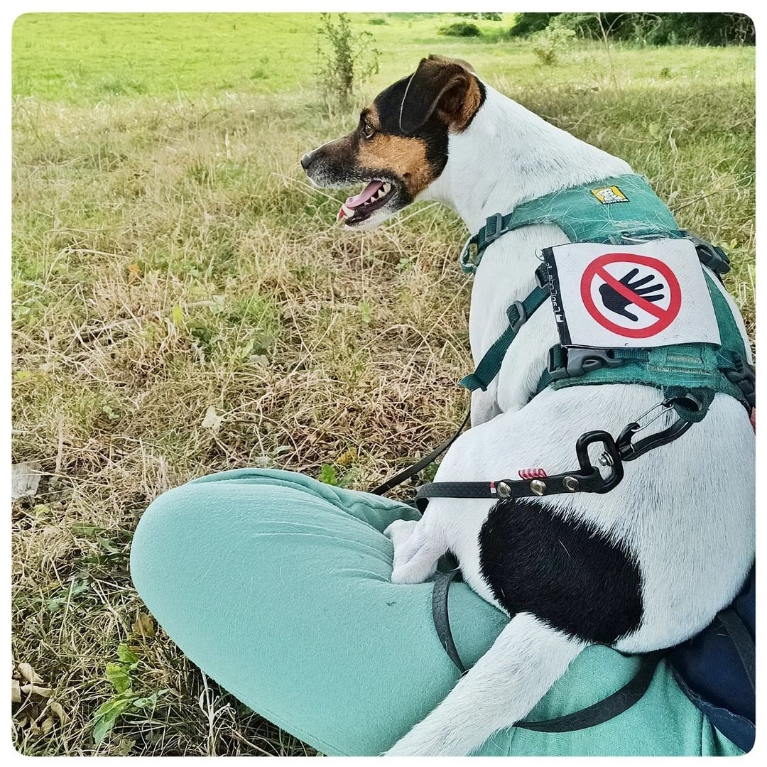 IMG_20230922_074004 - Copie