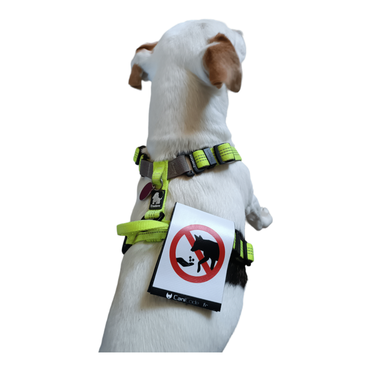 PhotoRoom-20230920_143000