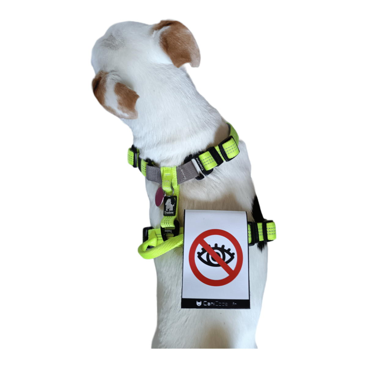 PhotoRoom-20230920_143037 (1)