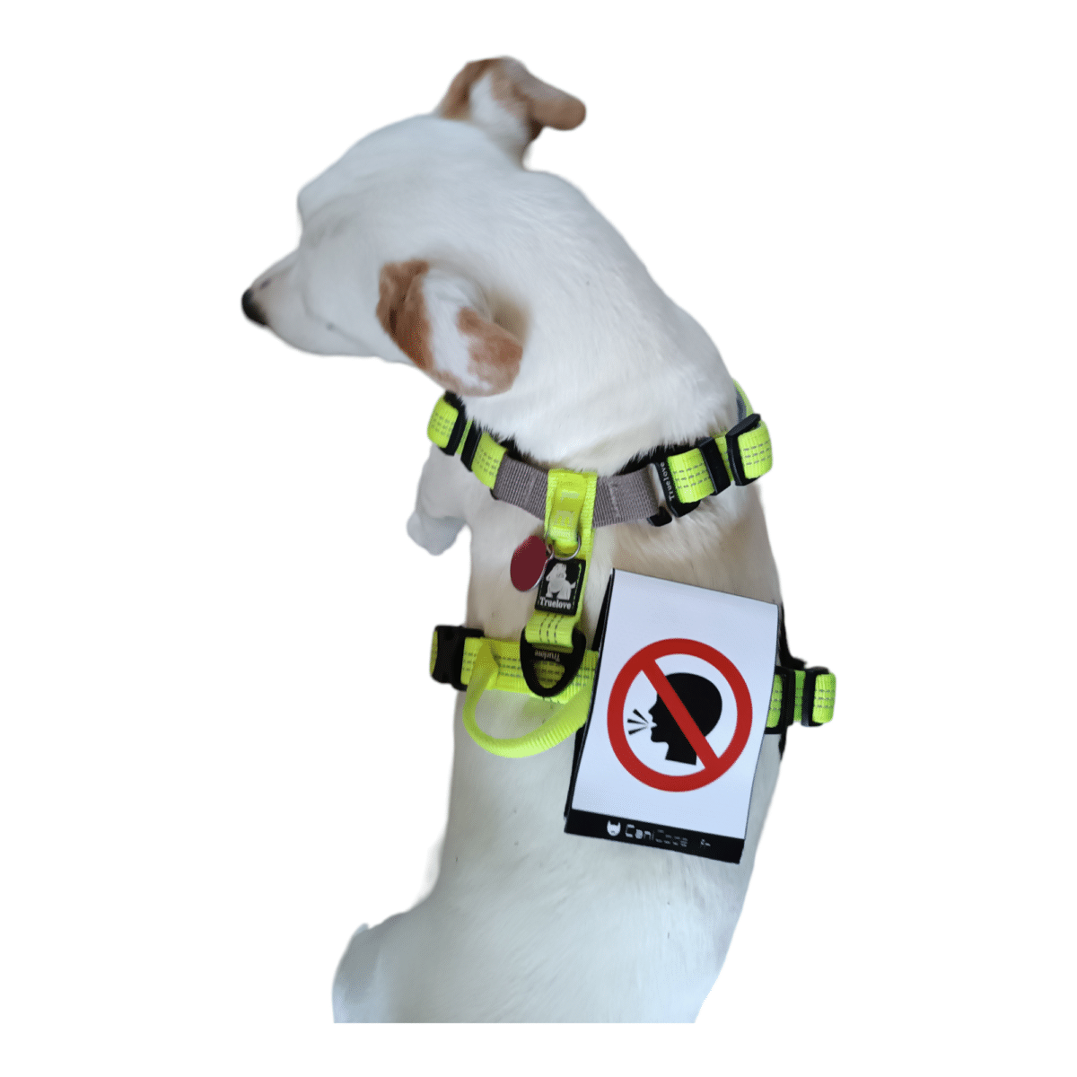 PhotoRoom-20230920_143114