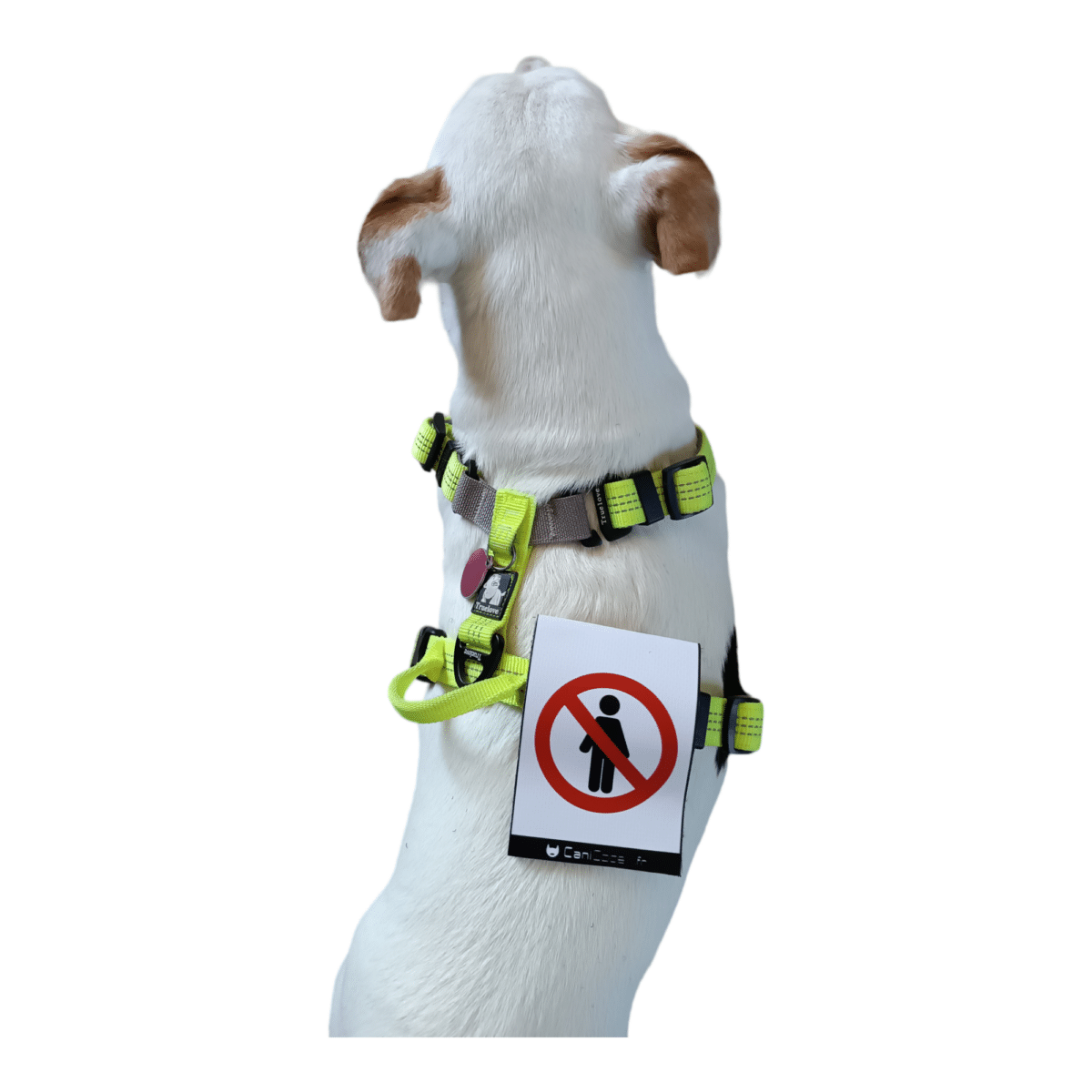 PhotoRoom-20230920_143224