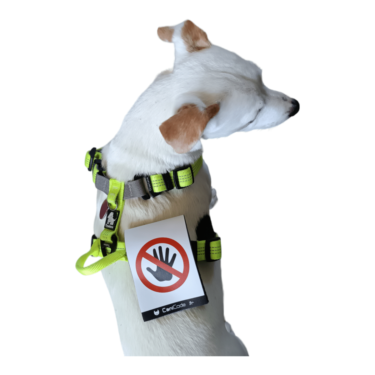 PhotoRoom-20230920_143304