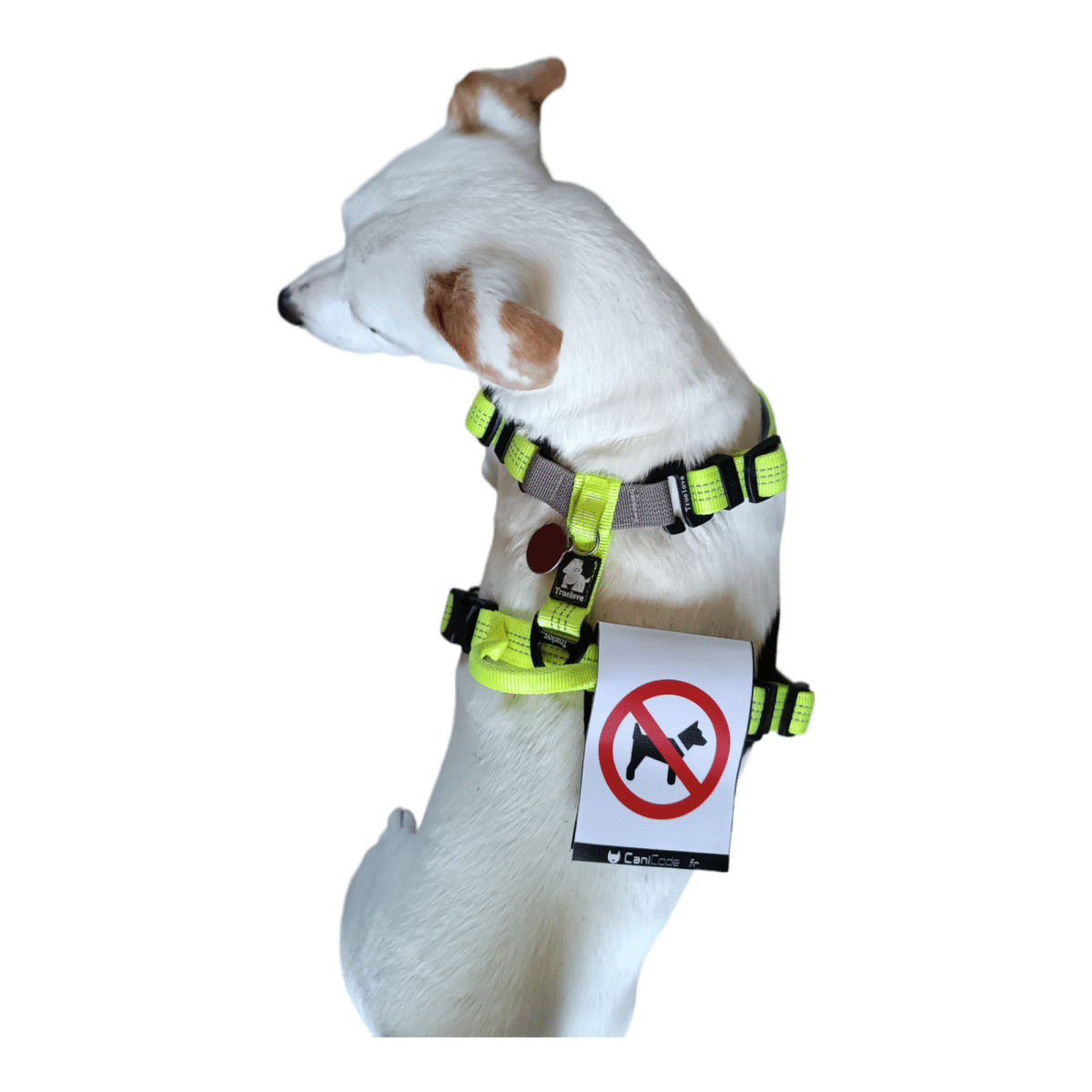 PhotoRoom-20230920_143403