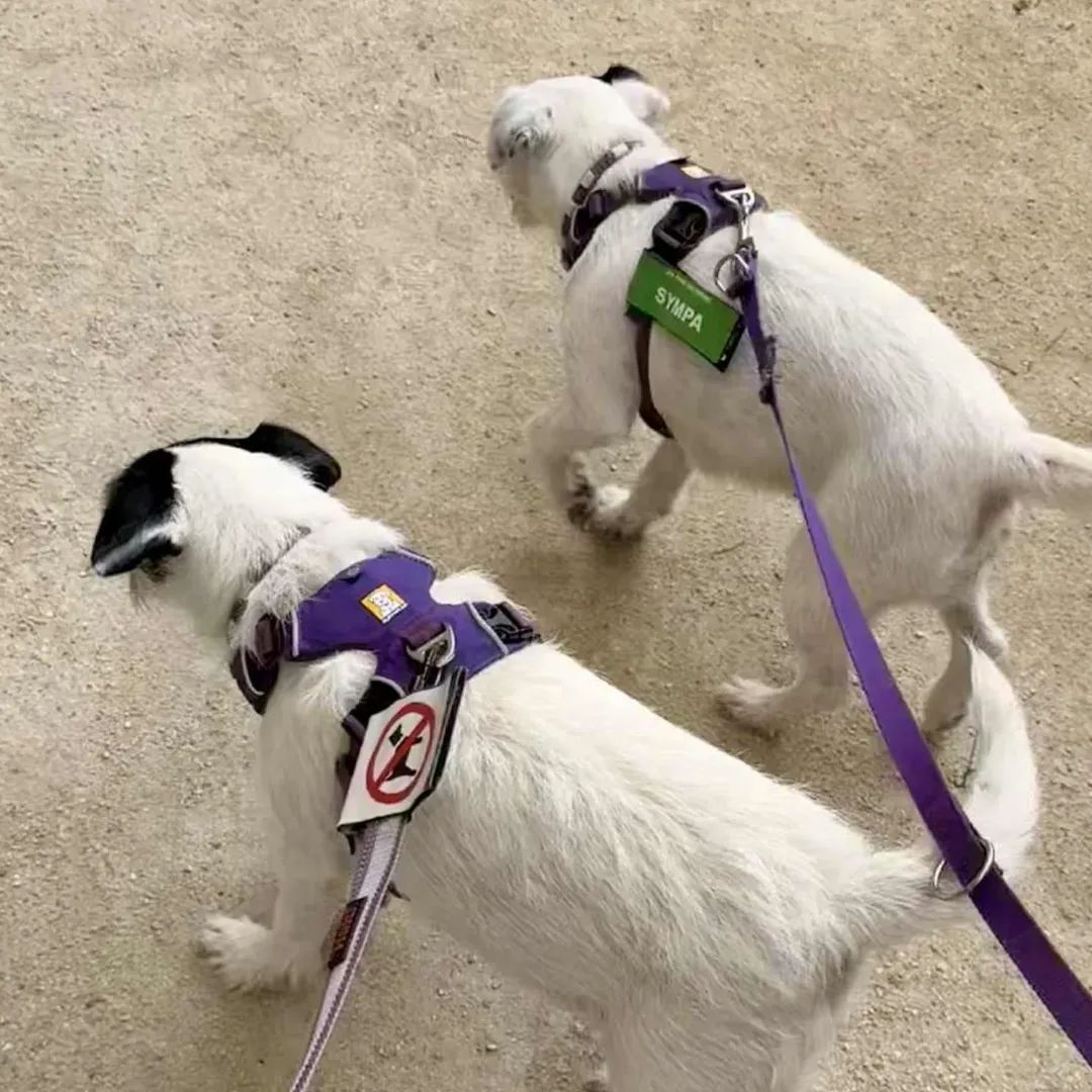 FB_IMG_1763630358843