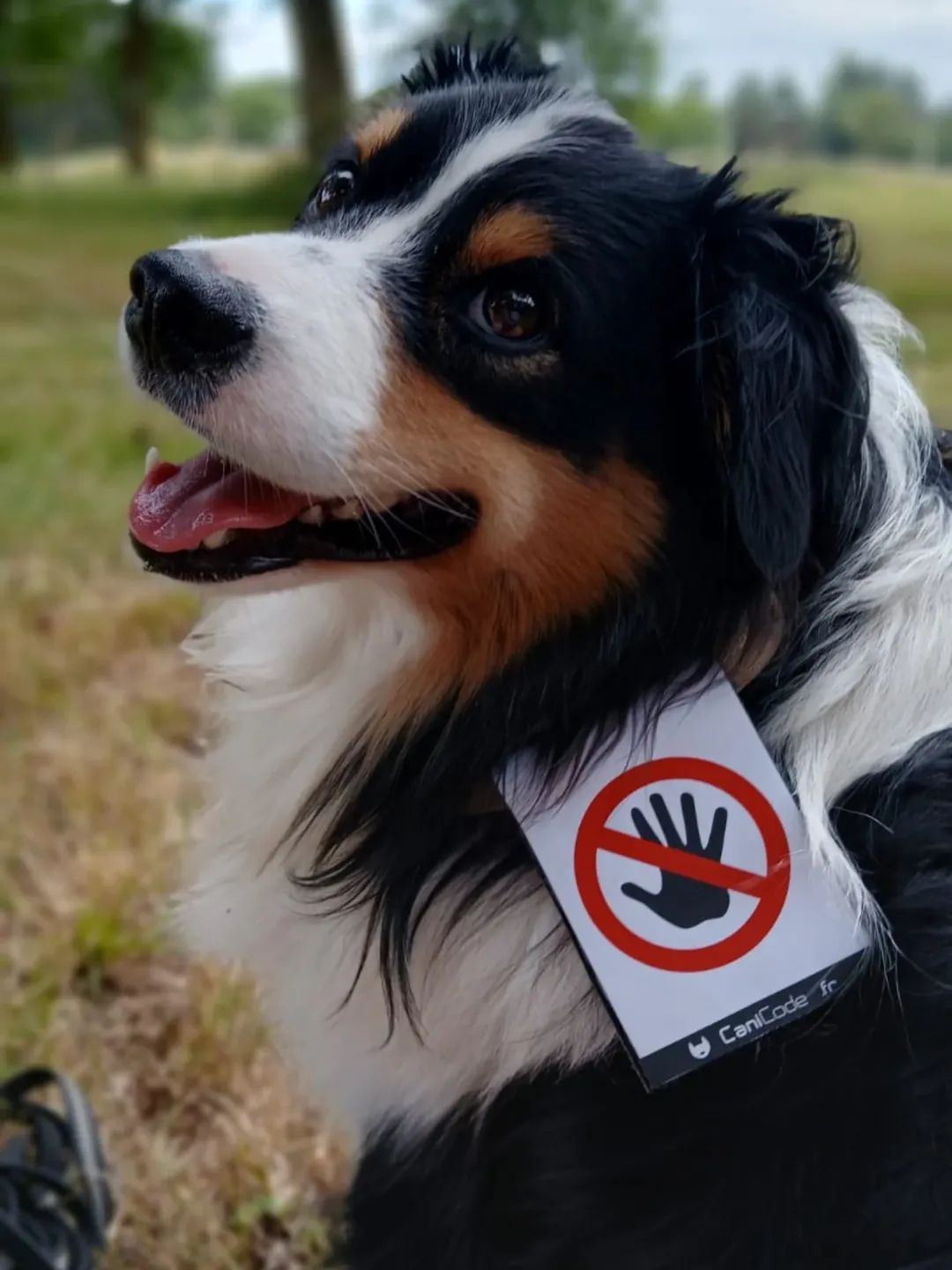 FB_IMG_1763630449360