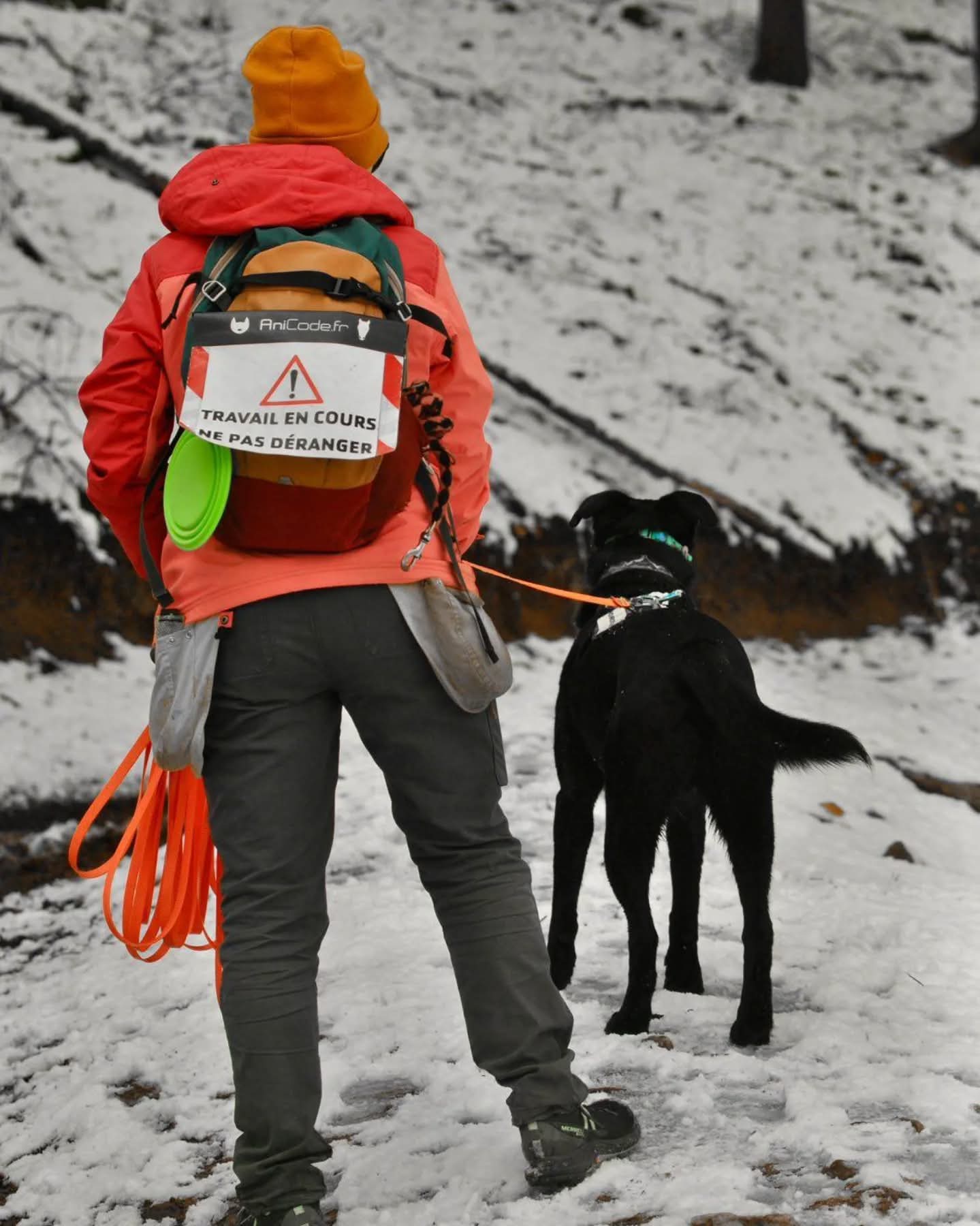 FB_IMG_1763630573793