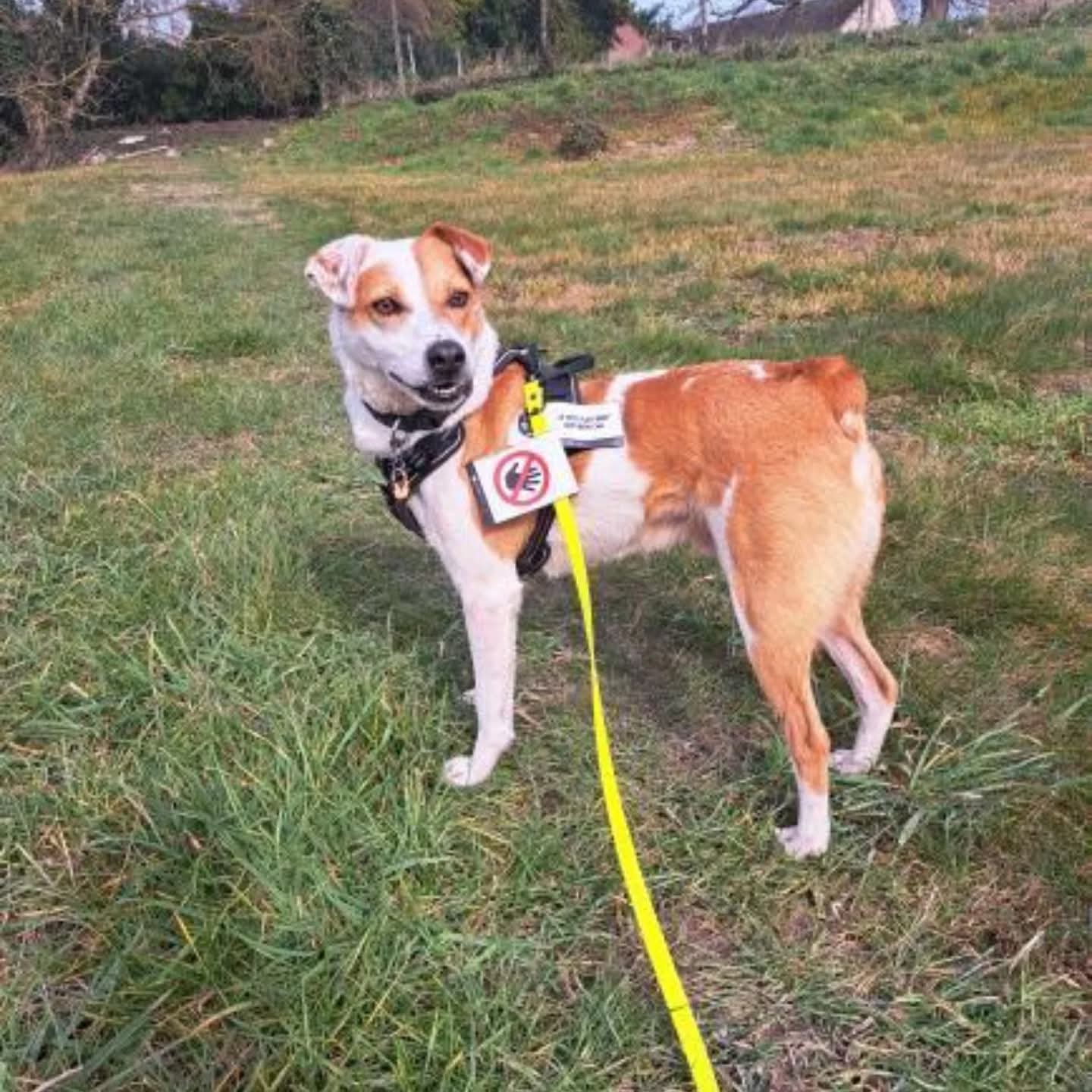 FB_IMG_1763630592256