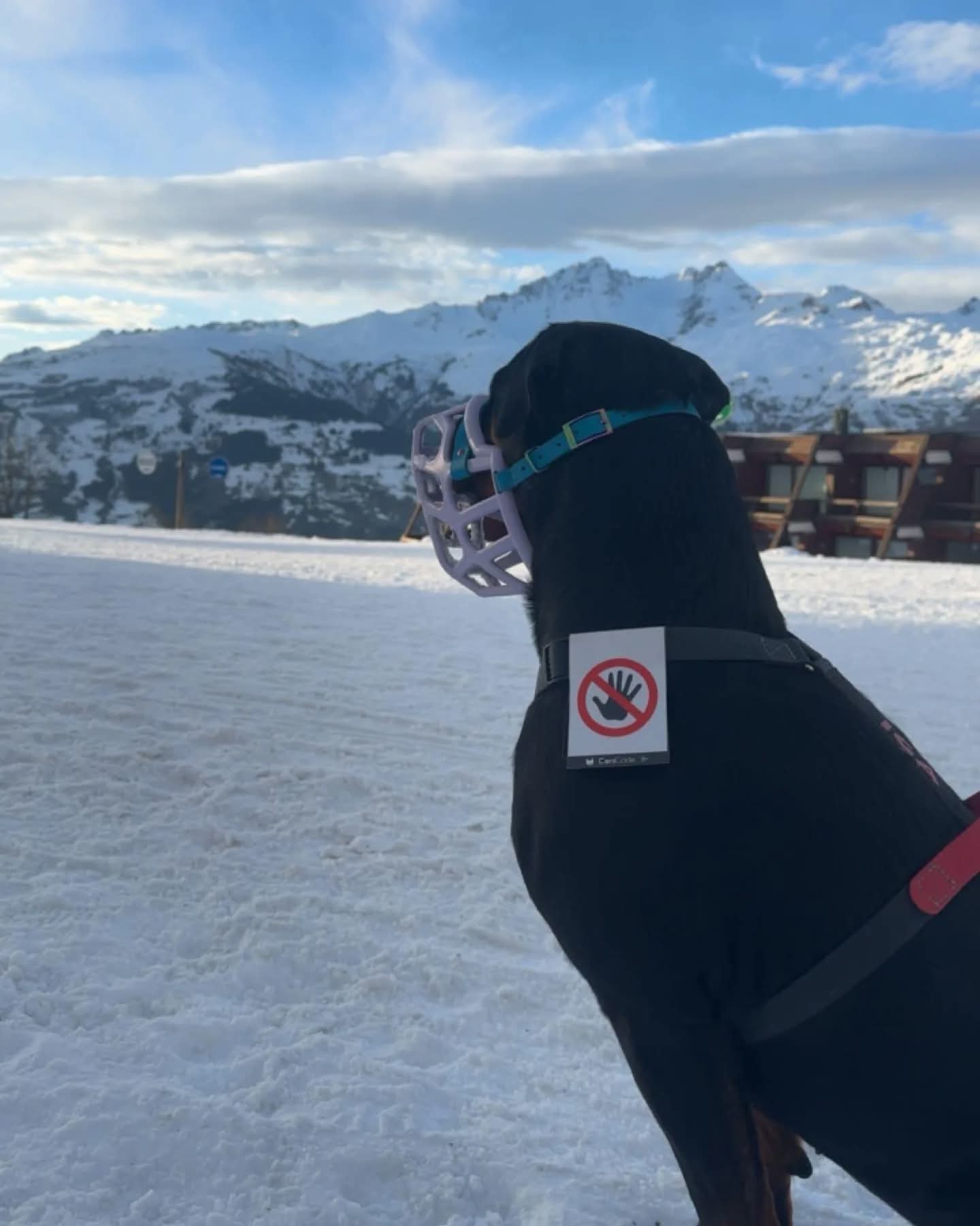 FB_IMG_1763630622144