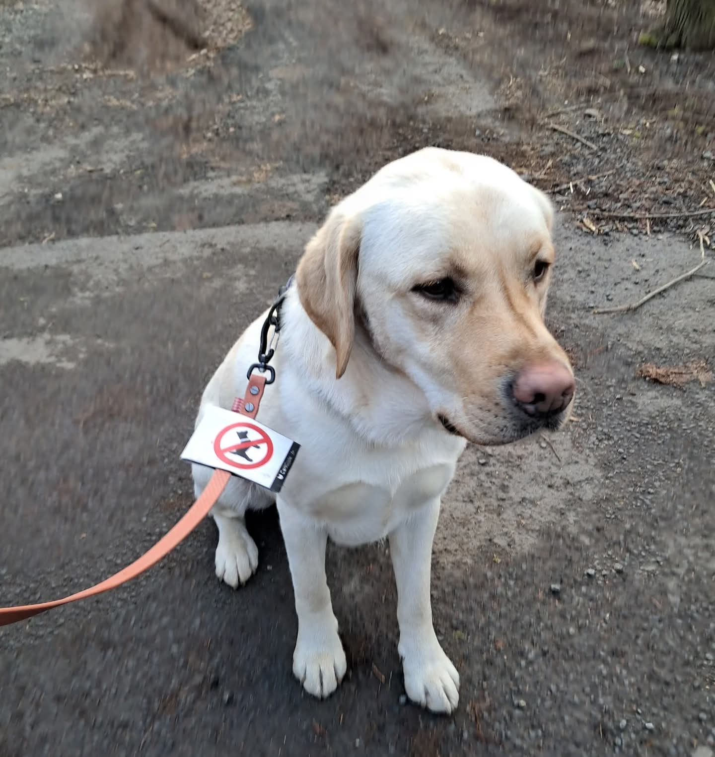 FB_IMG_1763630636756