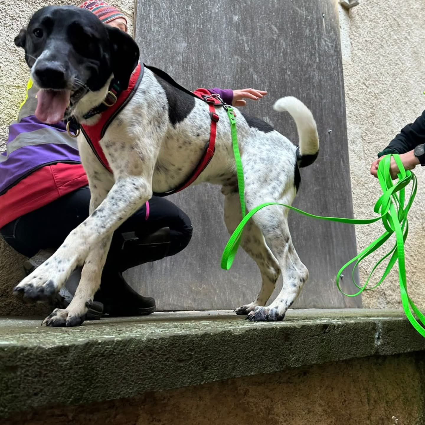 FB_IMG_1763630664539