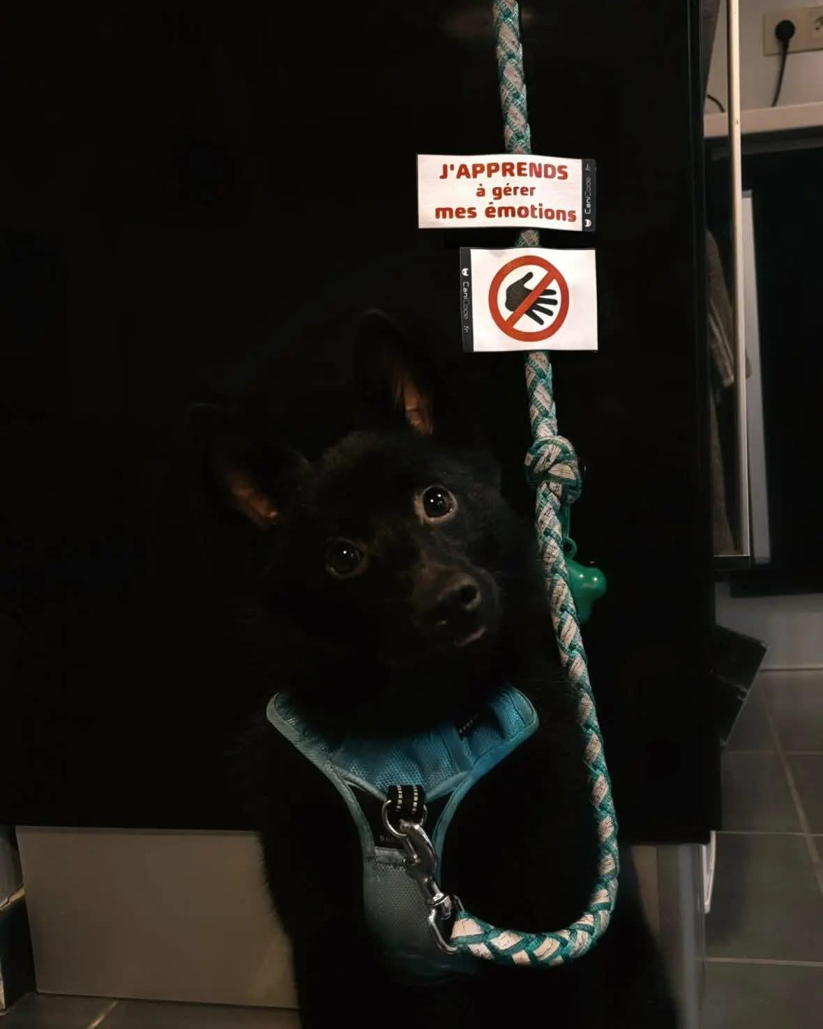 FB_IMG_1763630782422