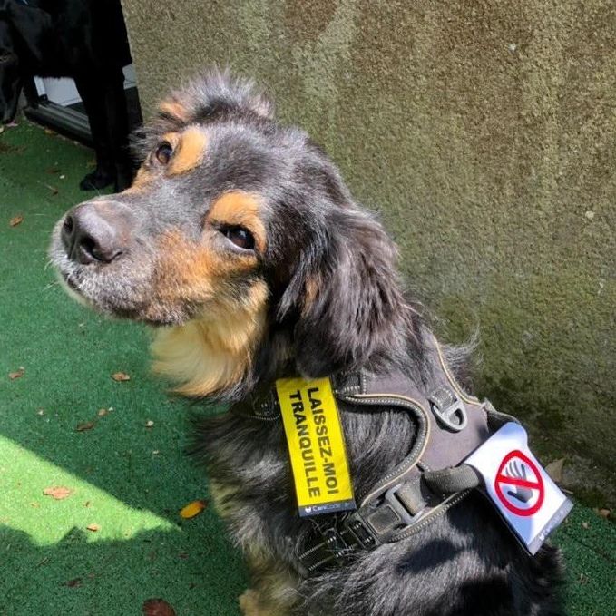 FB_IMG_1763743124578