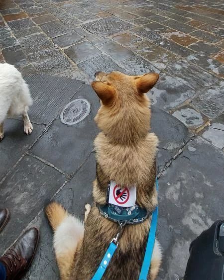 FB_IMG_1763743228186