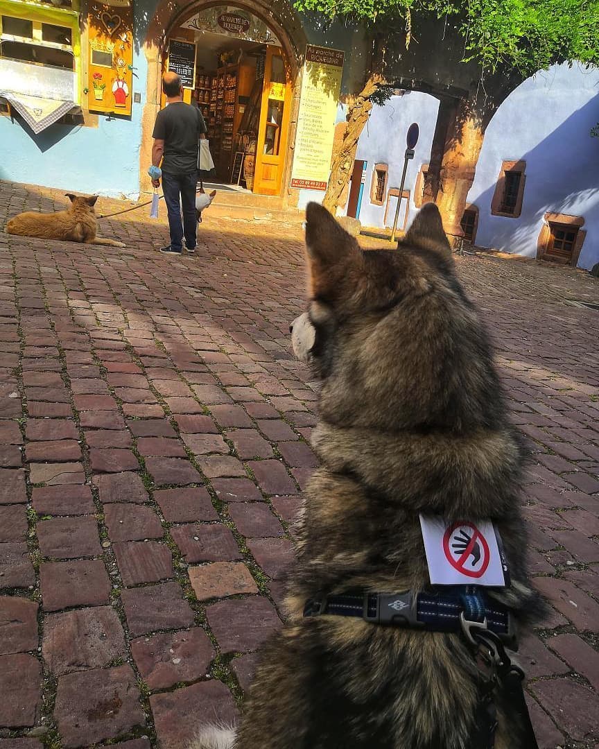 FB_IMG_1763743268140