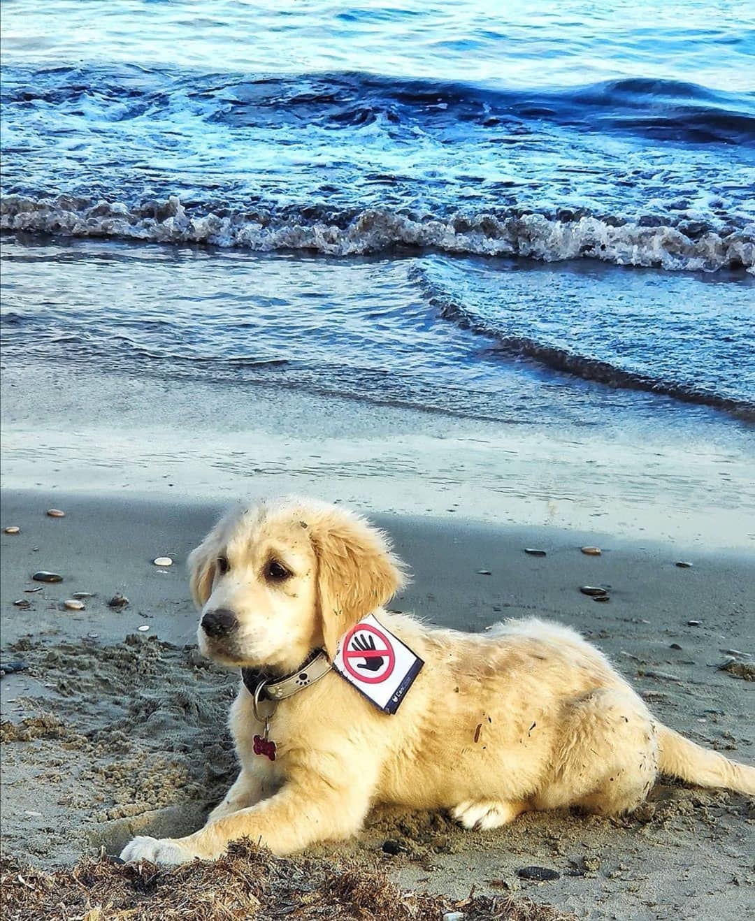 FB_IMG_1763743277060