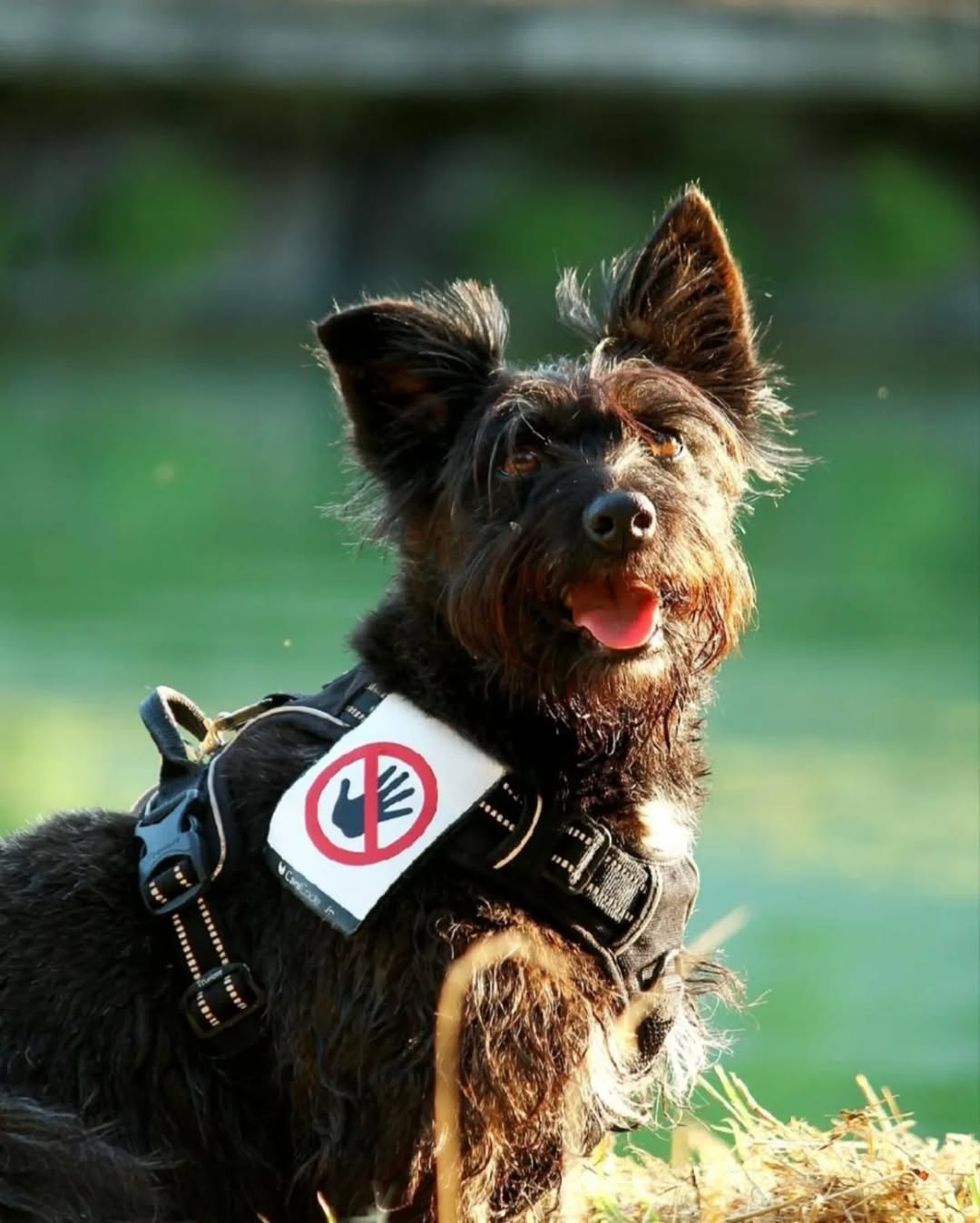 FB_IMG_1763743463115