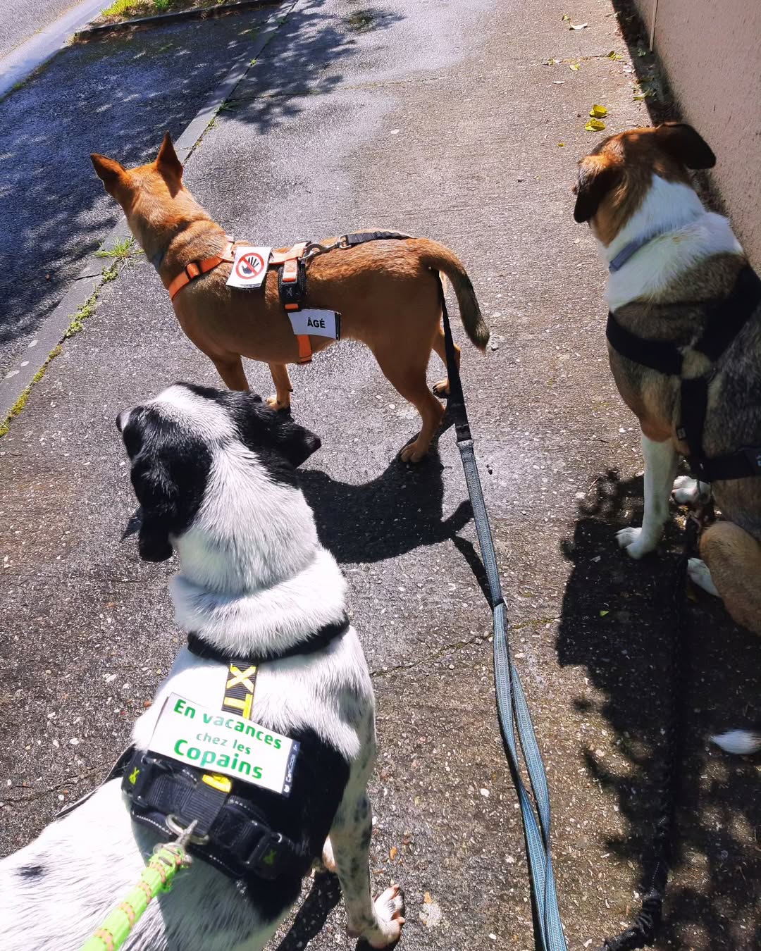 FB_IMG_1763743621923