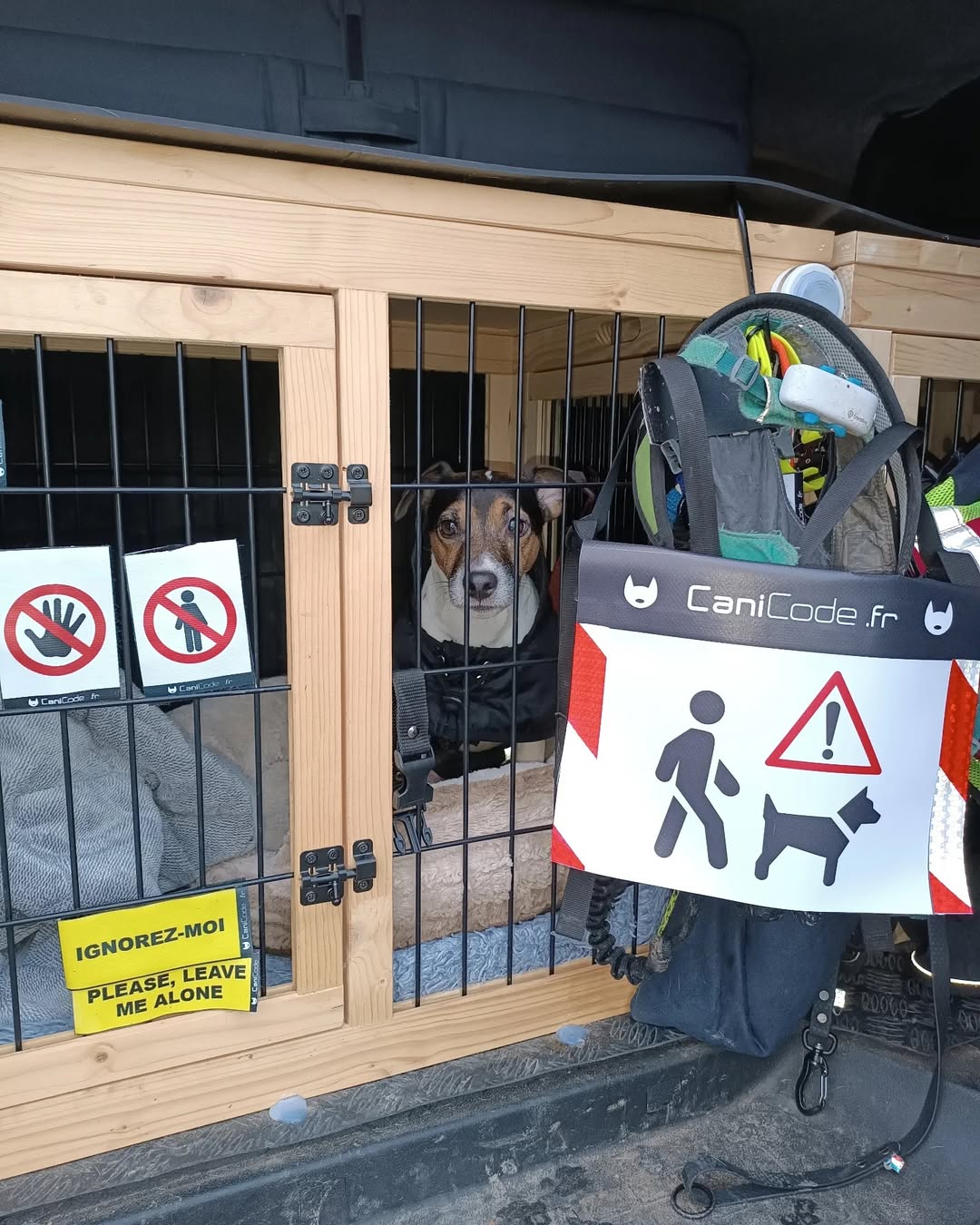 FB_IMG_1763743653255