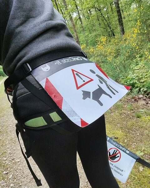 Accessoire de sécurité et de prévention porté à la ceinture et sur la laisse CaniCode